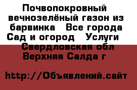 Почвопокровный, вечнозелёный газон из барвинка - Все города Сад и огород » Услуги   . Свердловская обл.,Верхняя Салда г.